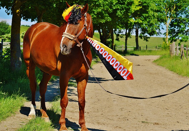 极速电竞官网：体育法国羽毛球公开赛：陈雨菲 李诗沣杀入男、女单打决赛